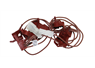 Zanussi, Electrolux & AEG 3570571442 Genuine Hob Push Button Switch